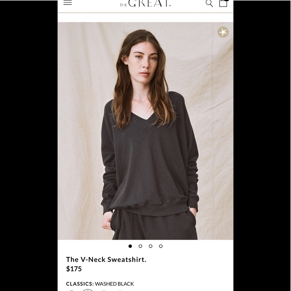 The Great the v neck sweatshirt excellent condition